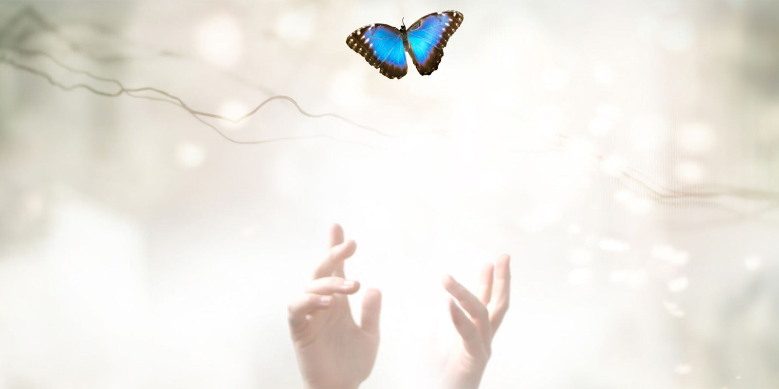 Self Love Guided Meditation