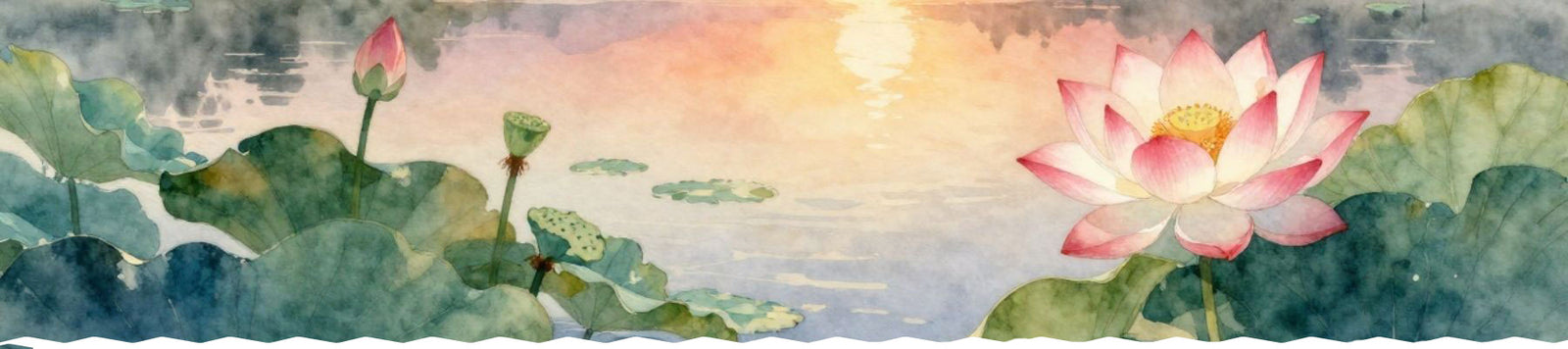 Lotus flowers in a pond