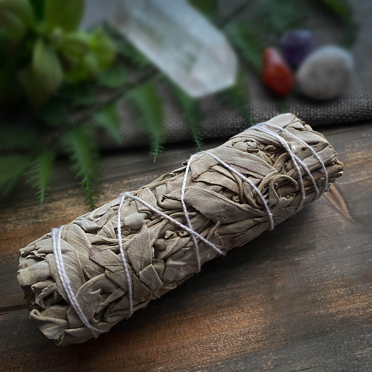 White Sage Smudge Bundle (Salvia Apiana)